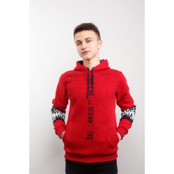 Худi чоловіче BLV