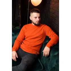 Светр чоловічий класичний VIPSTENDO