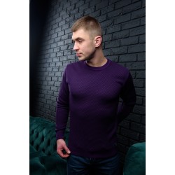 Светр чоловічий класичний VIPSTENDO